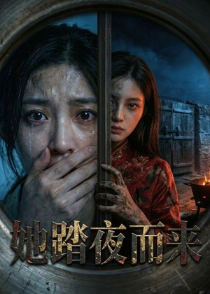 她踏夜而来（40集）直接看到大结局
