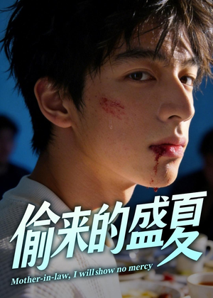 偷来的盛夏(40集) 偷来的盛夏(40集)免费看短剧全集