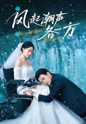 风起潮声各一方(84集) 风起潮声各一方(84集)每日分享短剧