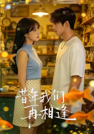 昔年我们再相逢（40集）免费观看全集