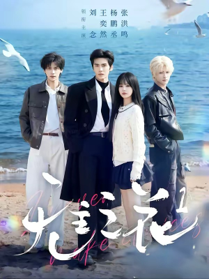 无主之花1(72集) 无主之花1(72集)好看吗