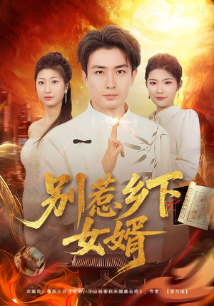 别惹乡下女婿(80集) 别惹乡下女婿(80集)解说
