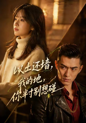 以土还墙，我的地，你半寸别想碰（56集）经典回顾免费看