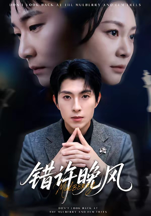 错许晚风(60集) 错许晚风(60集)好看短剧追不停