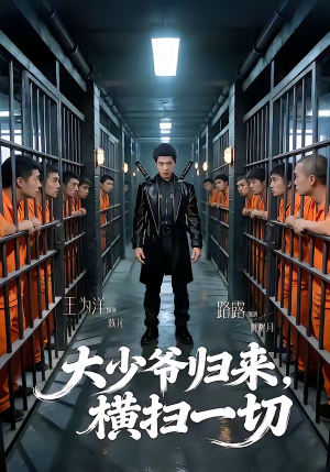 大少爷归来，横扫一切（80集）免费看全集