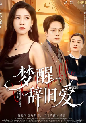 梦醒辞旧爱（55集）全集下载