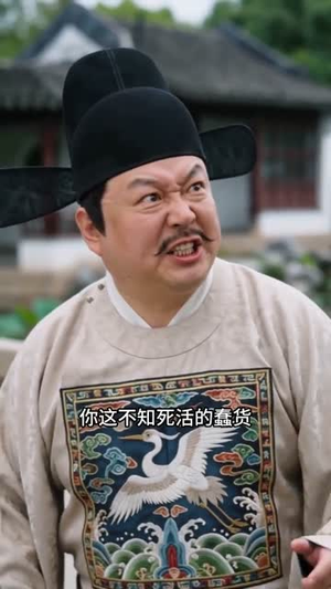 假死摄政王的替嫁娇妻（40集）视频在线看