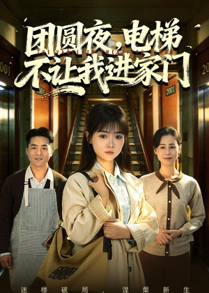 团圆夜,电梯不让我进家门(52集) 团圆夜,电梯不让我进家门(52集)免费热门短剧