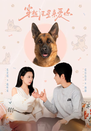 穿越汪星来爱你(62集) 穿越汪星来爱你(62集)短剧热播推荐