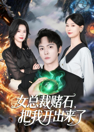 女总裁赌石,把我开出来了(76集) 女总裁赌石,把我开出来了(76集)怎么看全集