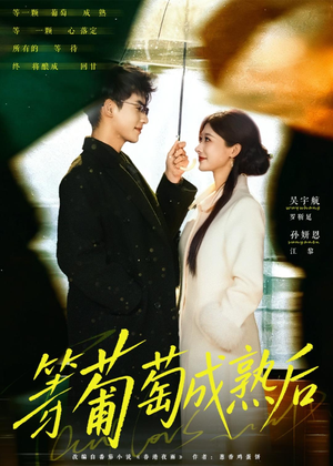 等葡萄成熟后(82集) 等葡萄成熟后(82集)免费在线看