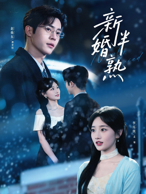 新婚半熟（68集）最后一集