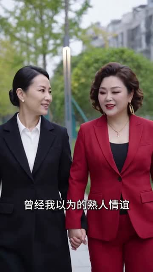 不存在的客户（40集）评价怎么样