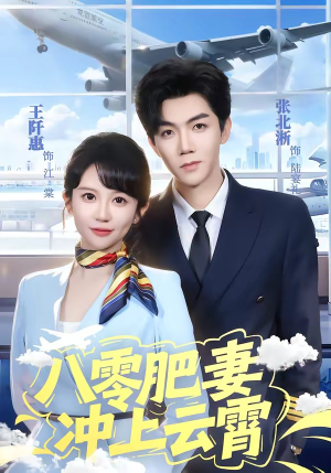 八零肥妻冲上云霄（66集）免费看全集