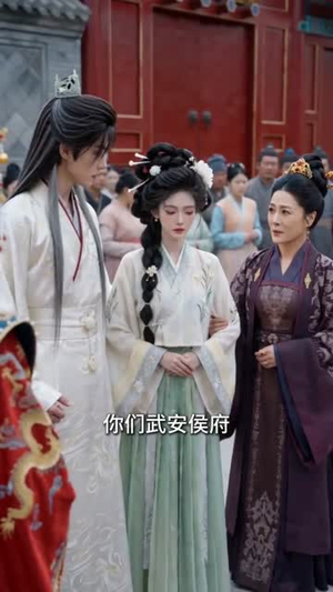 白轿迎亲，我转身嫁了少年将军（50集）全集一网打尽