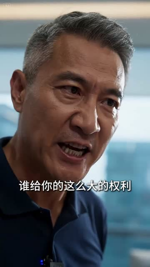 被辞销冠登顶商界(35集) 被辞销冠登顶商界(35集)在线免费观看