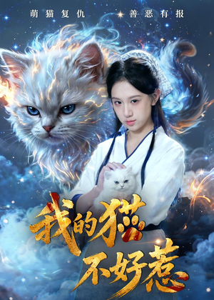 我的猫不好惹（42集）看到大结局