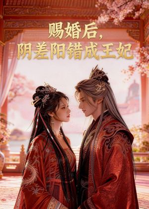 赐婚后，阴差阳错成王妃（31集）短剧分享剧集