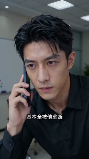 辞职回乡，我在县城打造产业帝国（40集）短剧免费观看