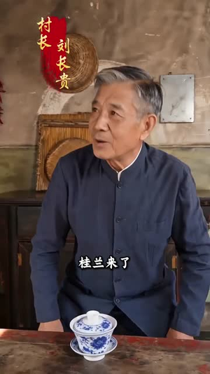 凤凰归来，我带领全村致富（63集）视频在线看