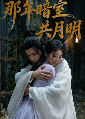 那年暗室共月明（73集）集免费看短剧