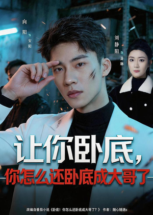 让你卧底,你怎么还卧成大哥了(80集) 让你卧底,你怎么还卧成大哥了(80集)超好看古装短剧