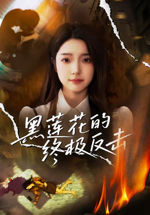 黑莲花的终极反击（60集）一口气看完全集