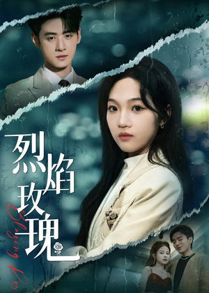烈焰玫瑰（37集）短剧小说在线看