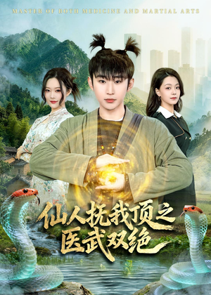 仙人抚我顶之医武双绝（66集）独家资源免费看
