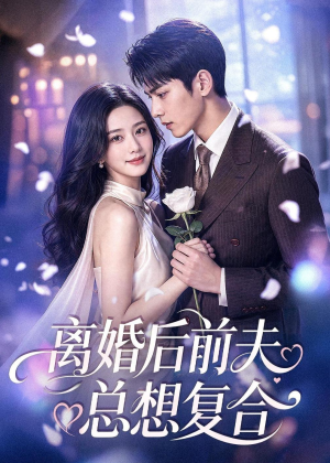 离婚后前夫总想复合（72集）免费热门短剧