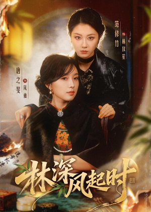 林深风起时（63集）热门短剧榜单