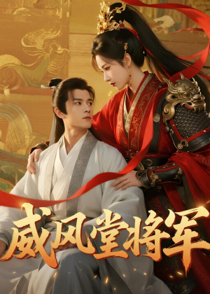 威风堂将军（40集）全集我都看完了