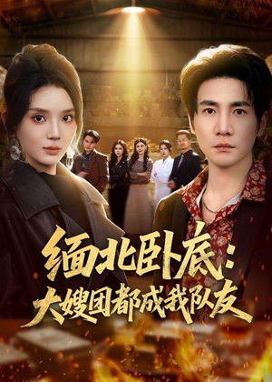 缅北卧底：大嫂团都成我队友（71集）无需充值尽情看