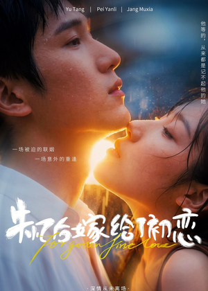 失忆后嫁给了初恋（10集）热播短剧全集看