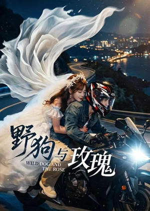 野狗与玫瑰(30集) 野狗与玫瑰(30集)全剧免费观看