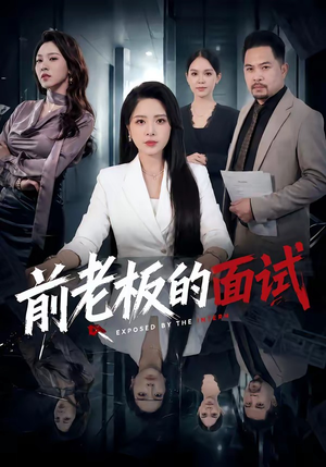 前老板的面试（45集）追短剧关注我