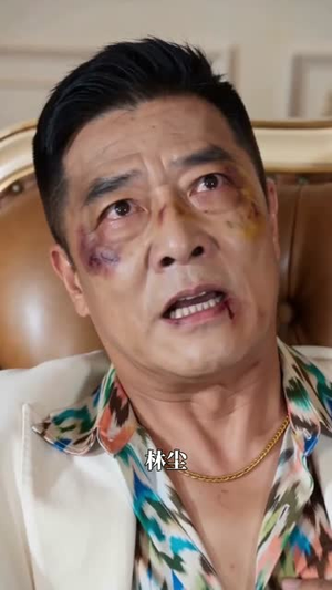 隐龙归来之奋斗的归来(30集) 隐龙归来之奋斗的归来(30集)哪个短剧网能看