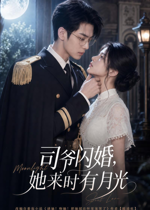 司爷闪婚,她来时有月光(93集) 司爷闪婚,她来时有月光(93集)最新热播短剧
