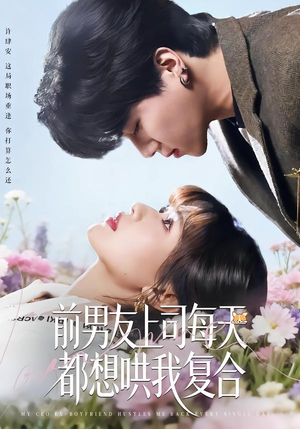 前男友上司每天都想哄我复合（77集）短剧太精彩了