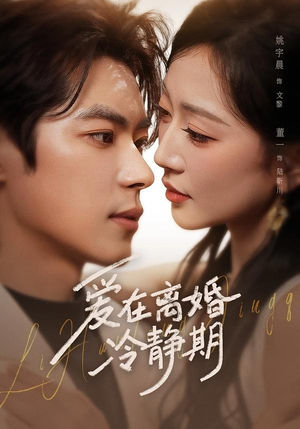 爱在离婚冷静期(73集) 爱在离婚冷静期(73集)在线免费观影