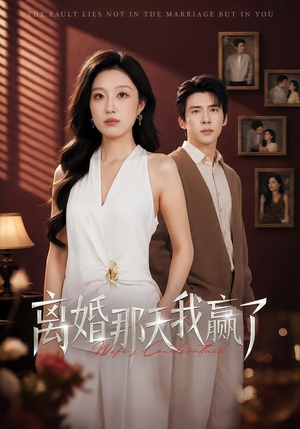 离婚那天我赢了（60集）短剧越看越精彩