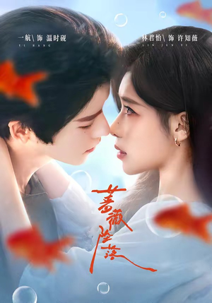蔷薇坠落（94集）免费看全集