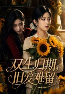 双生归期，旧爱难留（77集）全集下载