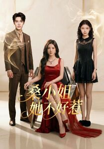 桑小姐她不好惹(103集) 桑小姐她不好惹(103集)短剧太精彩