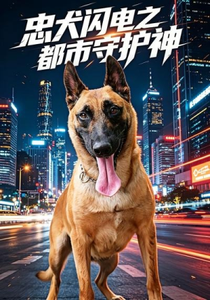 忠犬闪电之都市守护神（14集）超好看短剧推荐