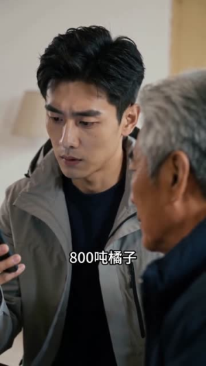 四块一斤轰走，寒潮后全村哭求（62集）在哪里可以看