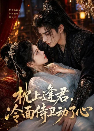 枕上逢君，冷面侍卫动了心（92集）演的怎么样