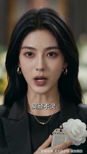 父亲葬礼当天，我在高铁叫停弟弟婚事（59集）免费看全网短剧