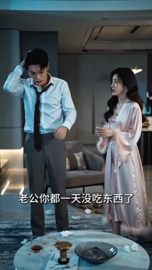 下一站，不必等我（35集）最后的大结局
