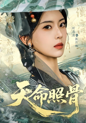 天命照骨（81集）高清画质免费看